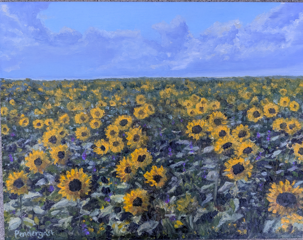 Sunflower Field, original oil painting