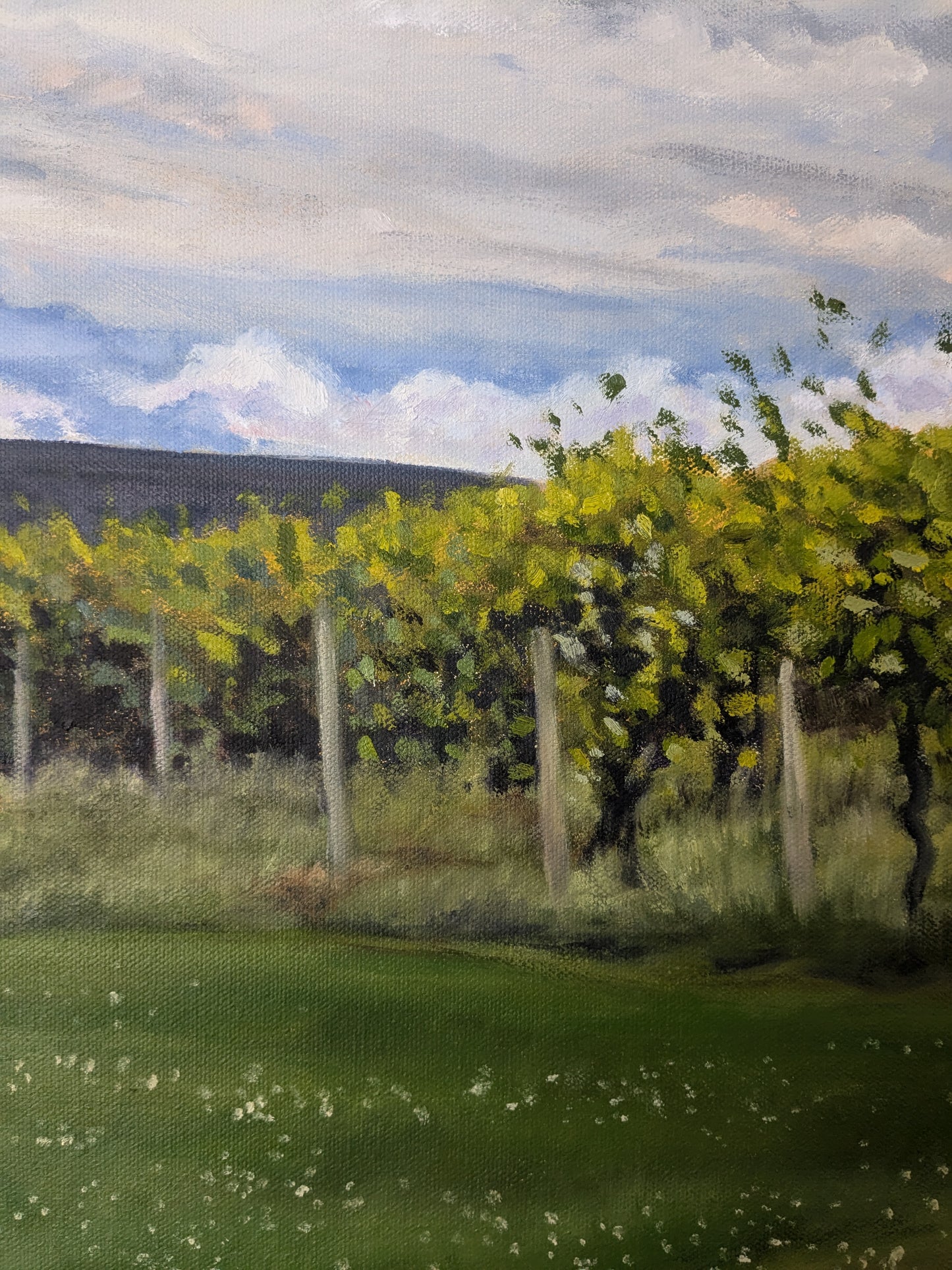 Vineyard in Early Summer, original oil painting