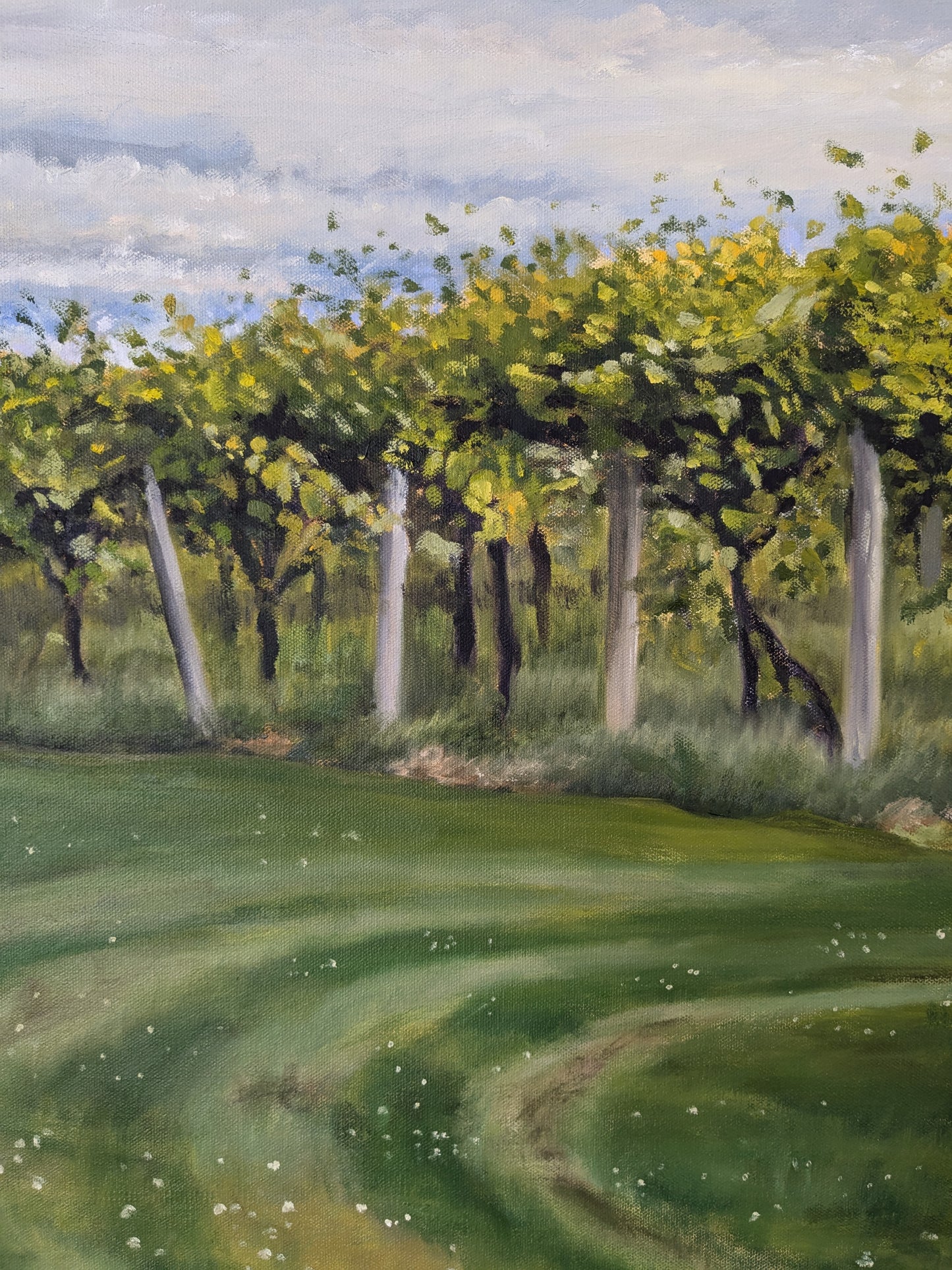 Vineyard in Early Summer, original oil painting