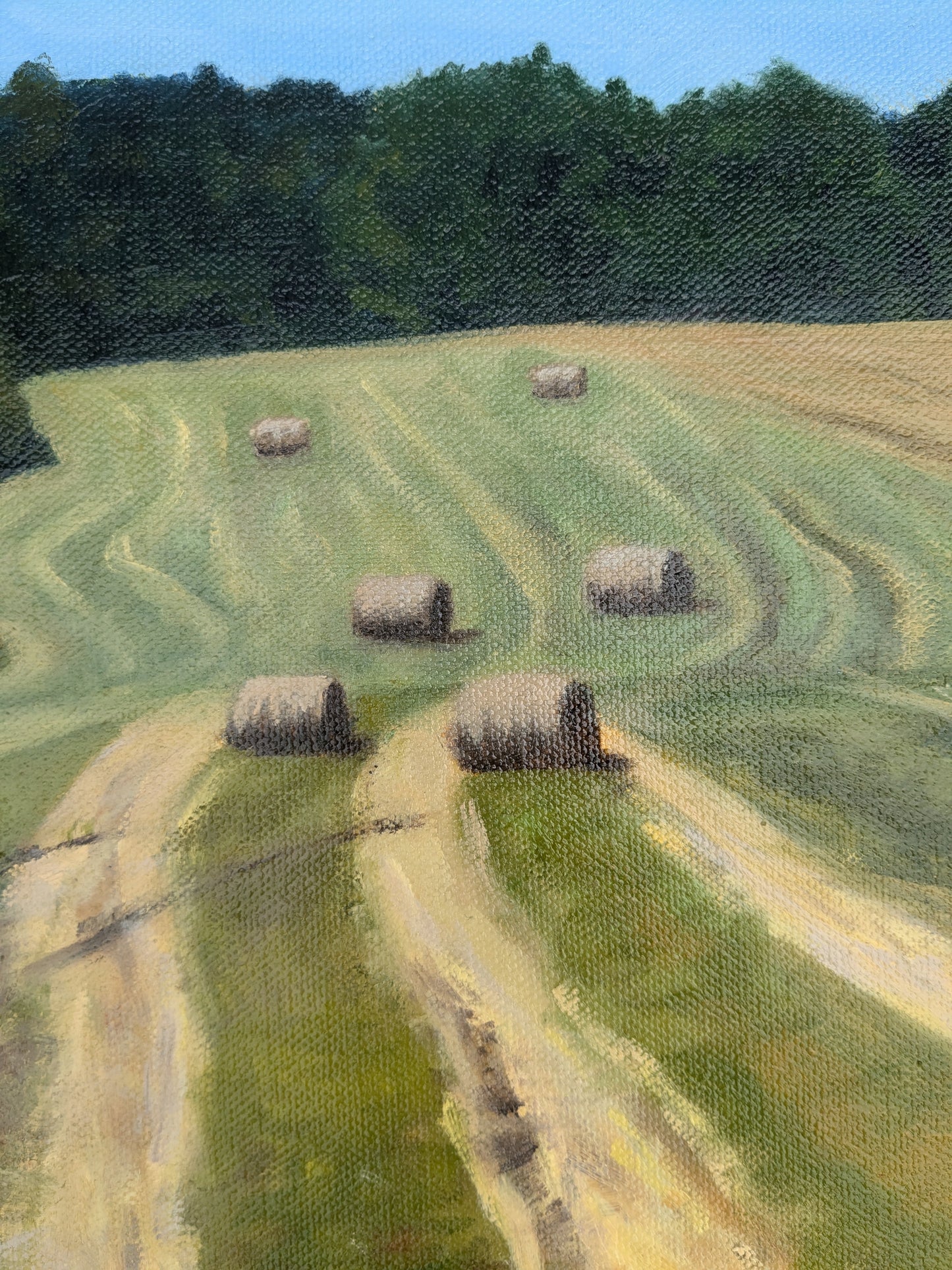 Katie's Field, original oil painting