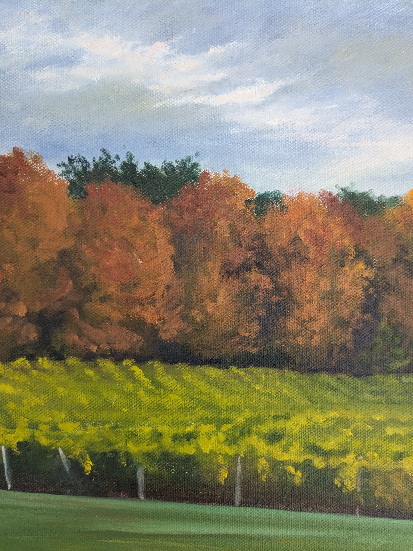 Autumn Vineyard, original oil painting