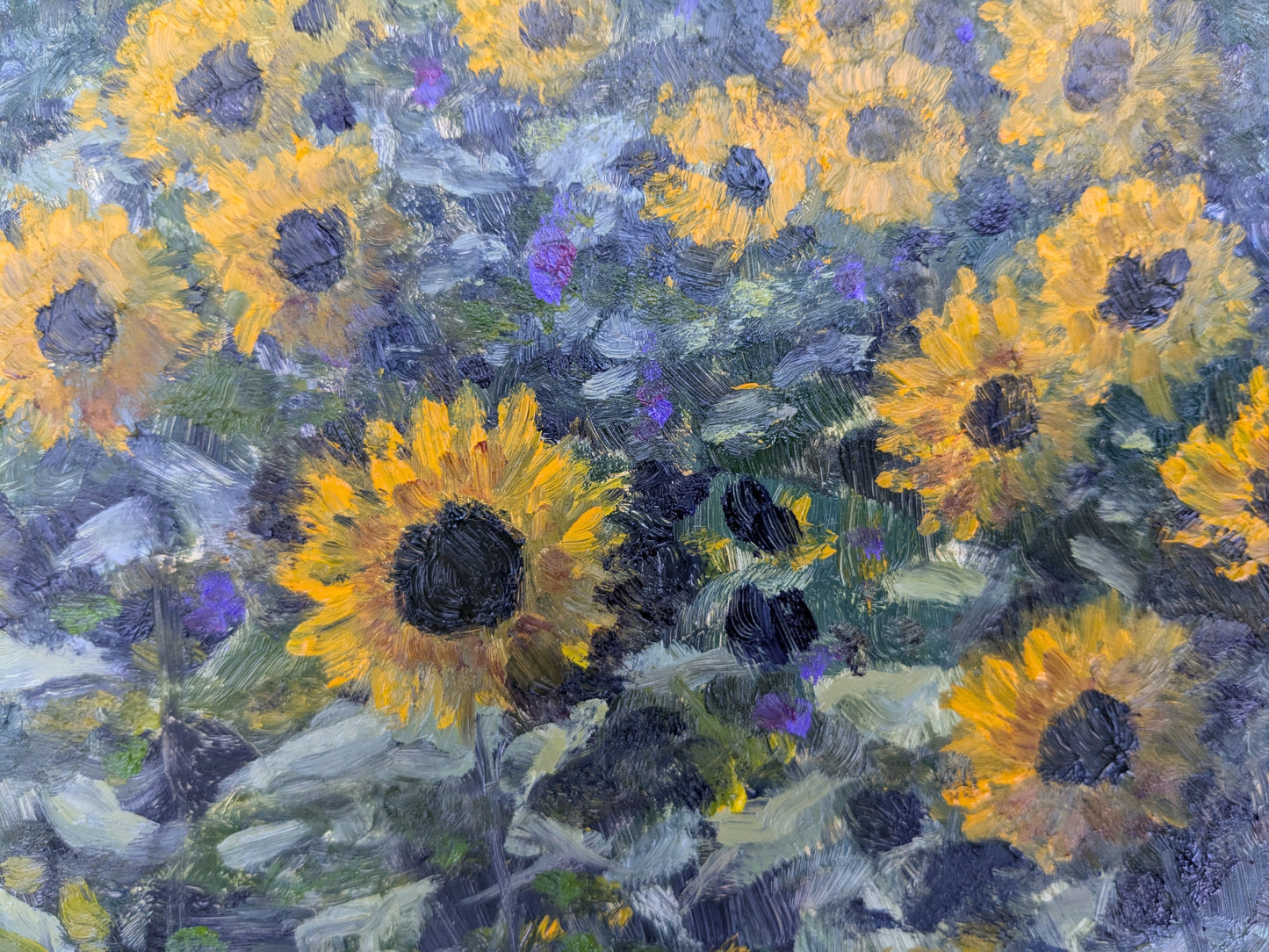 Sunflower Field, original oil painting