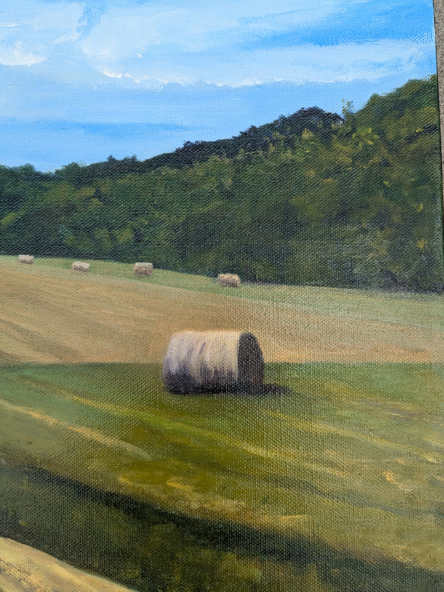 Katie's Field, original oil painting