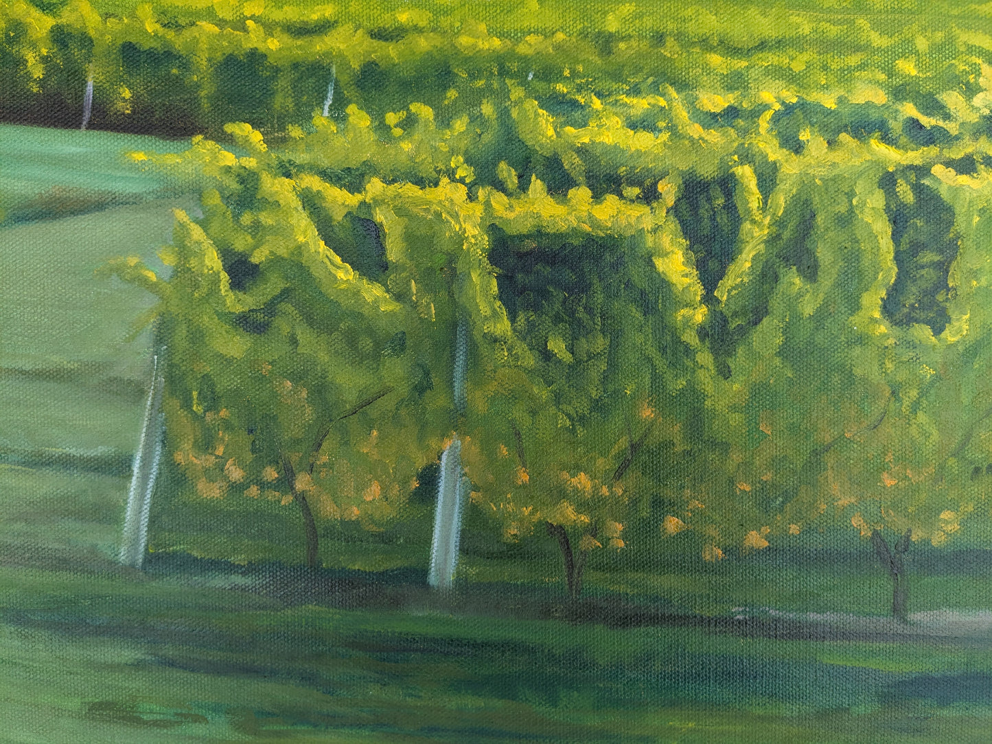 Autumn Vineyard, original oil painting